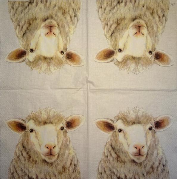 011 Sheep - 3-ply (11)
